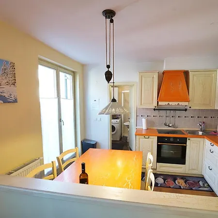 Mojstrovka With Terrace In Center Appartement *